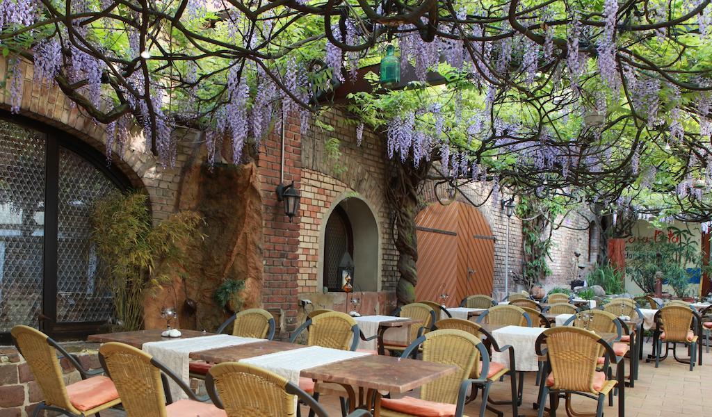 Hotel Zur Pfalz Kandel Ngoại thất bức ảnh